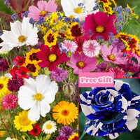 🔥2,000 Seeds + 100 Blue Rose Seeds (Free Gift)