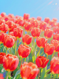 red