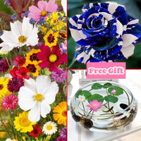 👍5,000 Seeds + 200 Blue Rose Seeds 🎁 5 Lotus Seeds (Free Gifts)